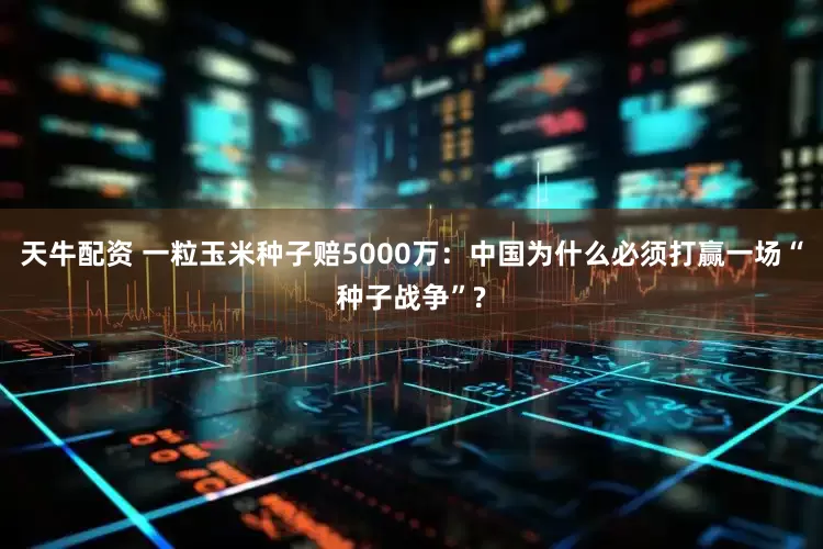 天牛配资 一粒玉米种子赔5000万：中国为什么必须打赢一场“种子战争”?